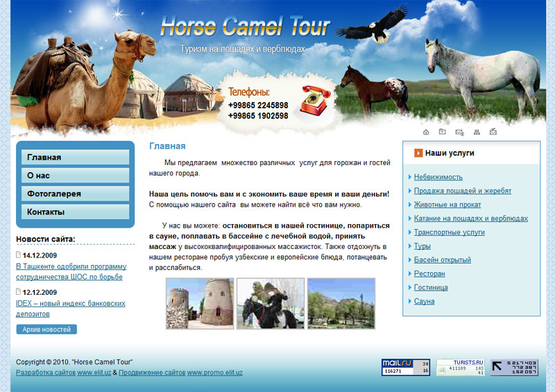 Туризм на лошадях и верблюдах
